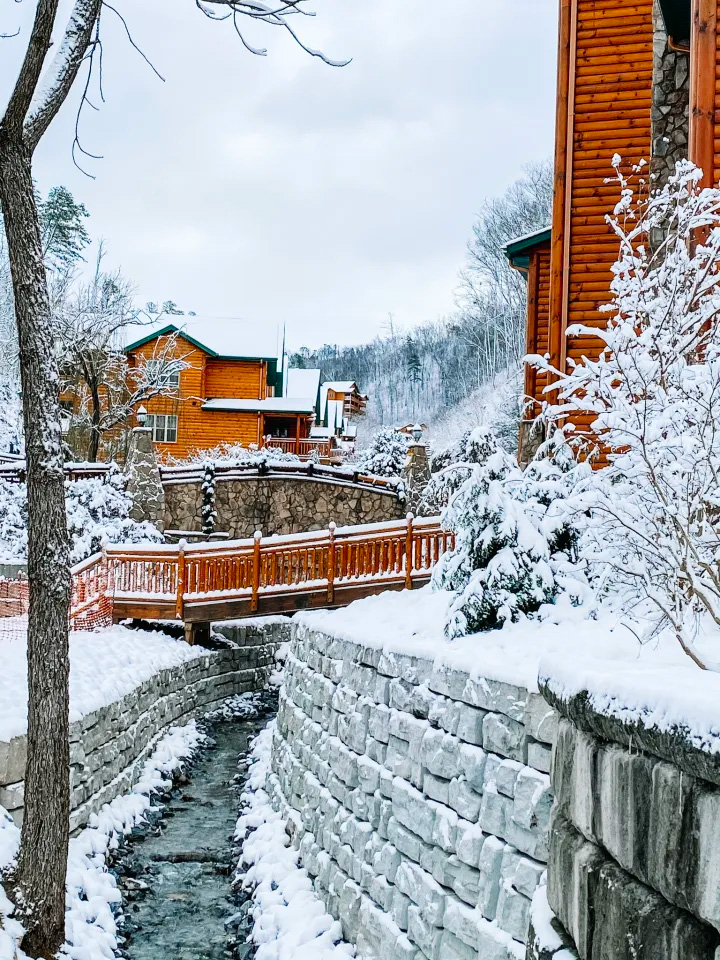 Accommodations photo 1